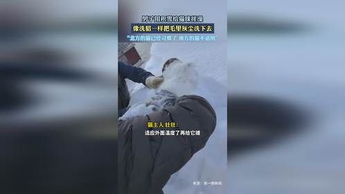 男子用积雪给猫咪搓澡，像洗貂一样把毛里灰尘洗下去。