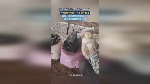 网友发布自己日常工作“断喙”，评论区的网友一下子坐不住了。
