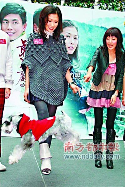 雪纳瑞宠物狗成《最美丽的第七天》亮点(组图)