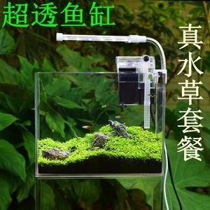 斗鱼缸装饰不能放什么物品：斗鱼缸装饰斗鱼缸内水质管理需要注意避免斗鱼缸内水质管理 鱼缸 第3张