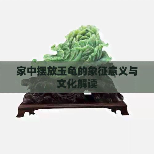 家中摆放玉龟的象征意义与文化解读