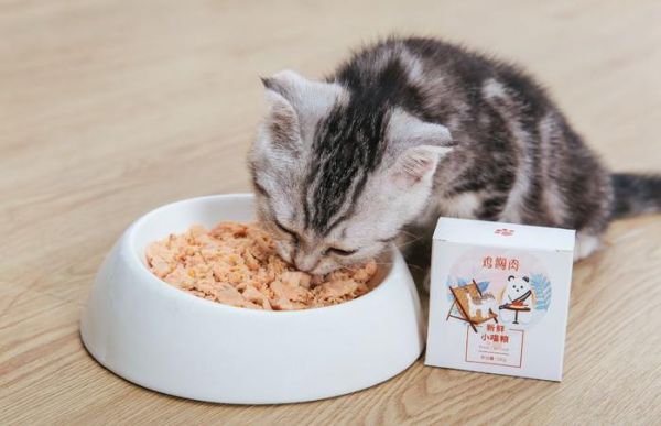 猫到底应该吃什么，怎么吃？猫哥告诉你一个小秘密~