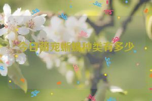 今日萌宠蜥蜴种类有多少