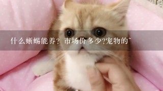 什么蜥蜴能养？市场价多少?宠物的~
