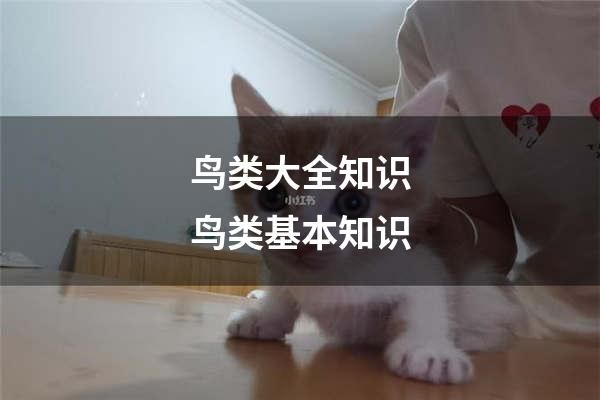 鸟类大全知识鸟类基本知识