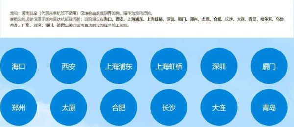 如何携带宠物乘机?请收下这份宠物托运指南