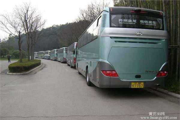 淄博至全国各地宠物托运 淄博宠物托运公司