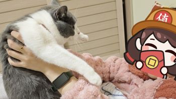 小猫咪过冬指南