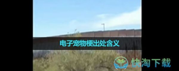 《抖音》电子宠物梗出处含义介绍