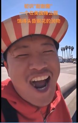 《抖音》电子宠物梗出处含义介绍