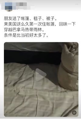《抖音》电子宠物梗出处含义介绍