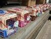 张家口宠物猫咪托运靠谱宠物飞机托运