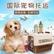 张家口宠物小猫托运靠谱专车托运