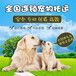张家口宠物托运邮寄空调专车托运