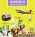 张家口宠物托运在线靠谱宠物狗托运