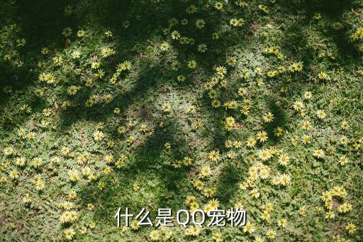 什么是QQ宠物