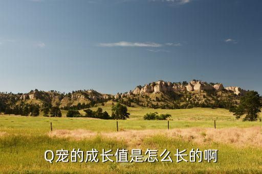Q宠的成长值是怎么长的啊