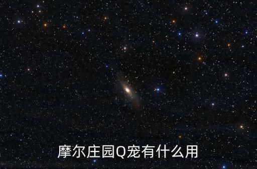 摩尔庄园Q宠有什么用