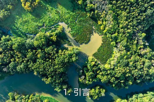 1. 引言