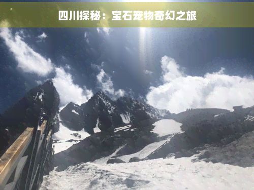 四川探秘：宝石宠物奇幻之旅