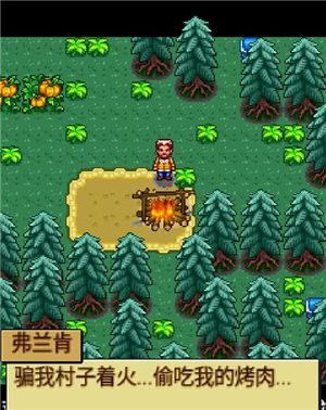 宠物王国4白金