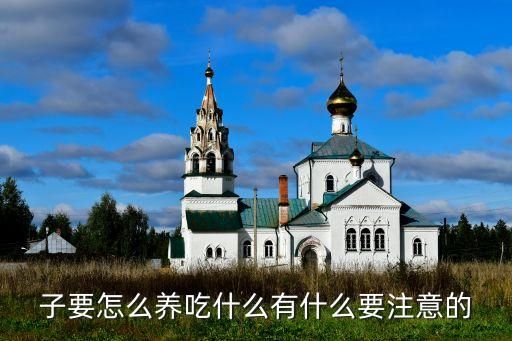 子要怎么养吃什么有什么要注意的