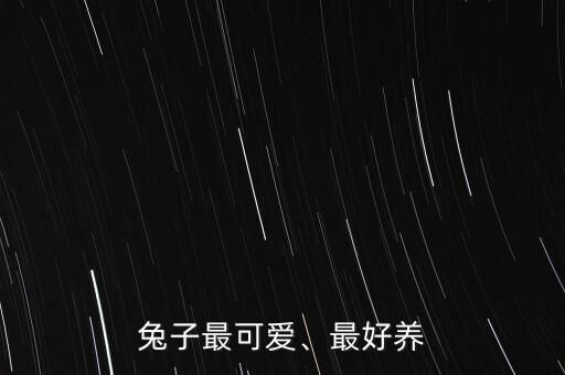 兔子最可爱、最好养