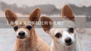 上海哪家宠物医院比较专业呢？