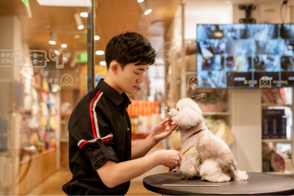 宠物家是如何实现门店规模化的？-传播蛙