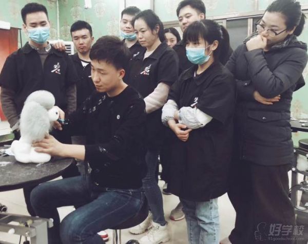 长沙三生石宠物美容师培训学校 现场实况