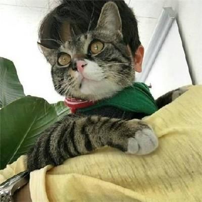 宠物头像男