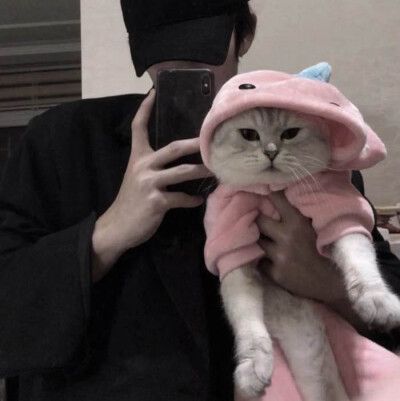 宠物头像男