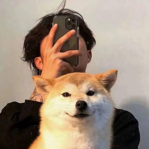 宠物头像男生 宠物和男生头像