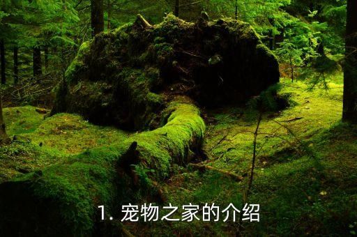 1. 宠物之家的介绍