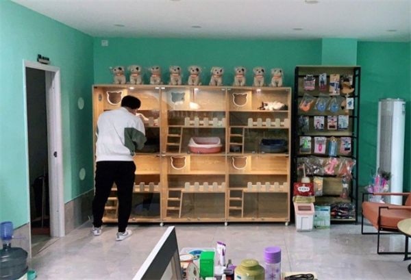 狗狗屋宠物生活馆
