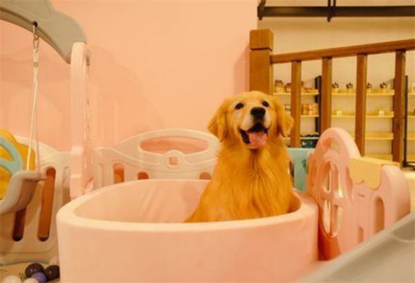 狗狗屋宠物生活馆