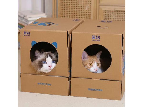 广东小型猫房哪里有,猫房