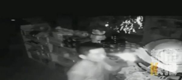 当心！几名小伙凌晨砸门连偷西安两家宠物店！猫狗被偷，损失数万元