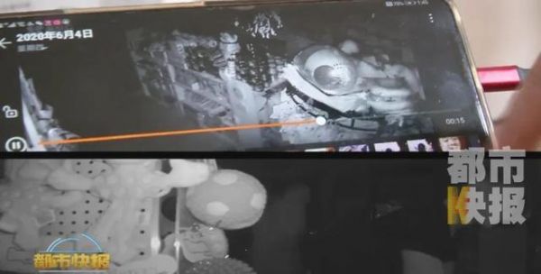 当心！几名小伙凌晨砸门连偷西安两家宠物店！猫狗被偷，损失数万元