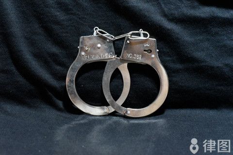 广东养狗被判盗窃罪怎么办