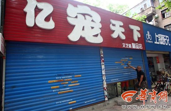 宠物店