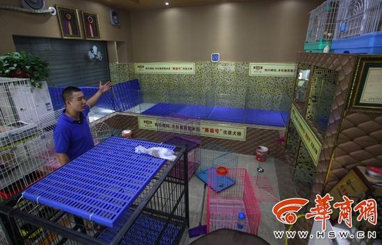 捕宠物店内部情况