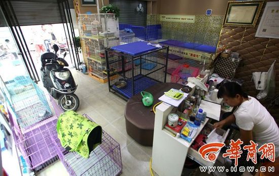 宠物店内部