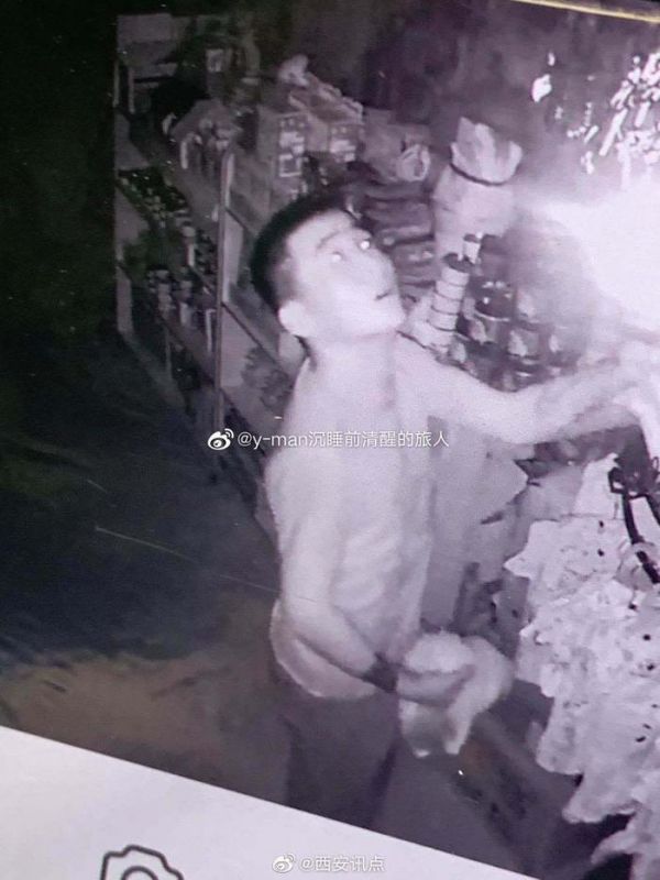 西安 宠物店进两蟊贼盗走数只猫狗 致使商家损失惨重