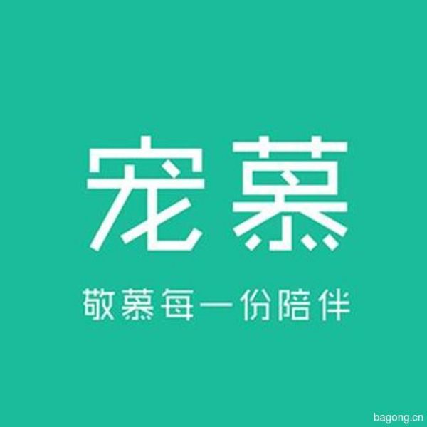 宠慕丨宠物殡葬宠物标本 封面大图