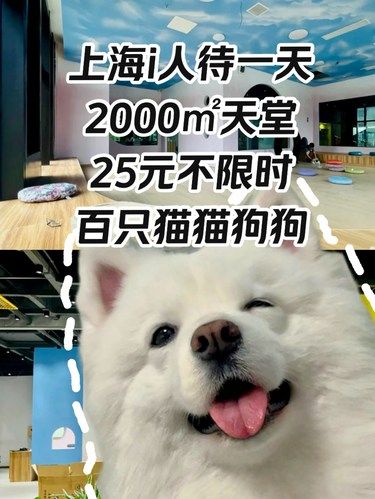 上海i人待一天2000㎡天堂25元不限时‼️