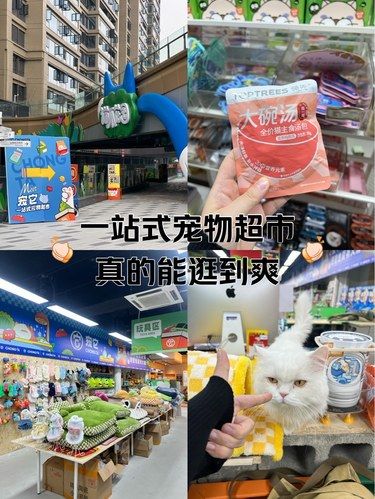 超大！逛到爽！和悦广场的一站式宠物超市！