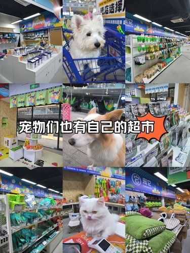小葵花妹妹采购日常