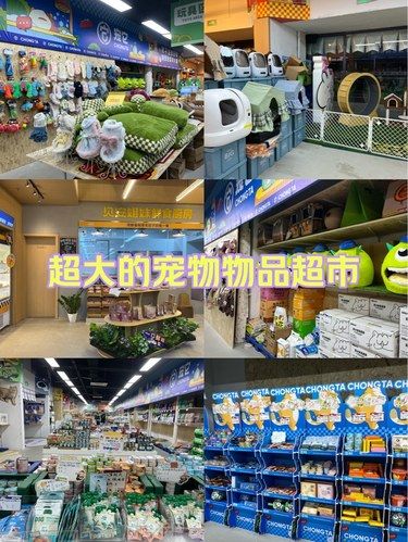 超大的宠物物品超市