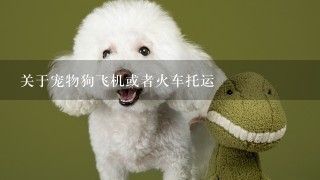 关于宠物狗飞机或者火车托运